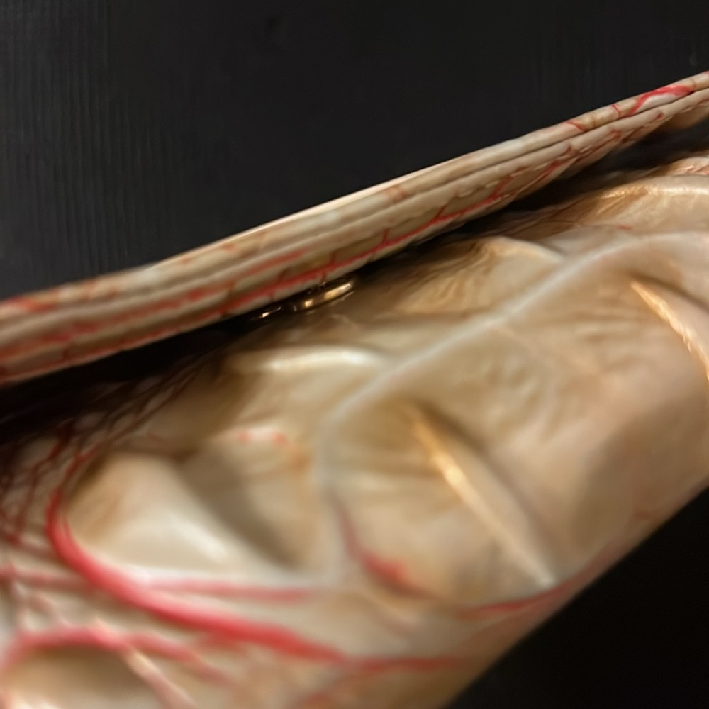 Brahmin Cordelia Sunkiss - image 5